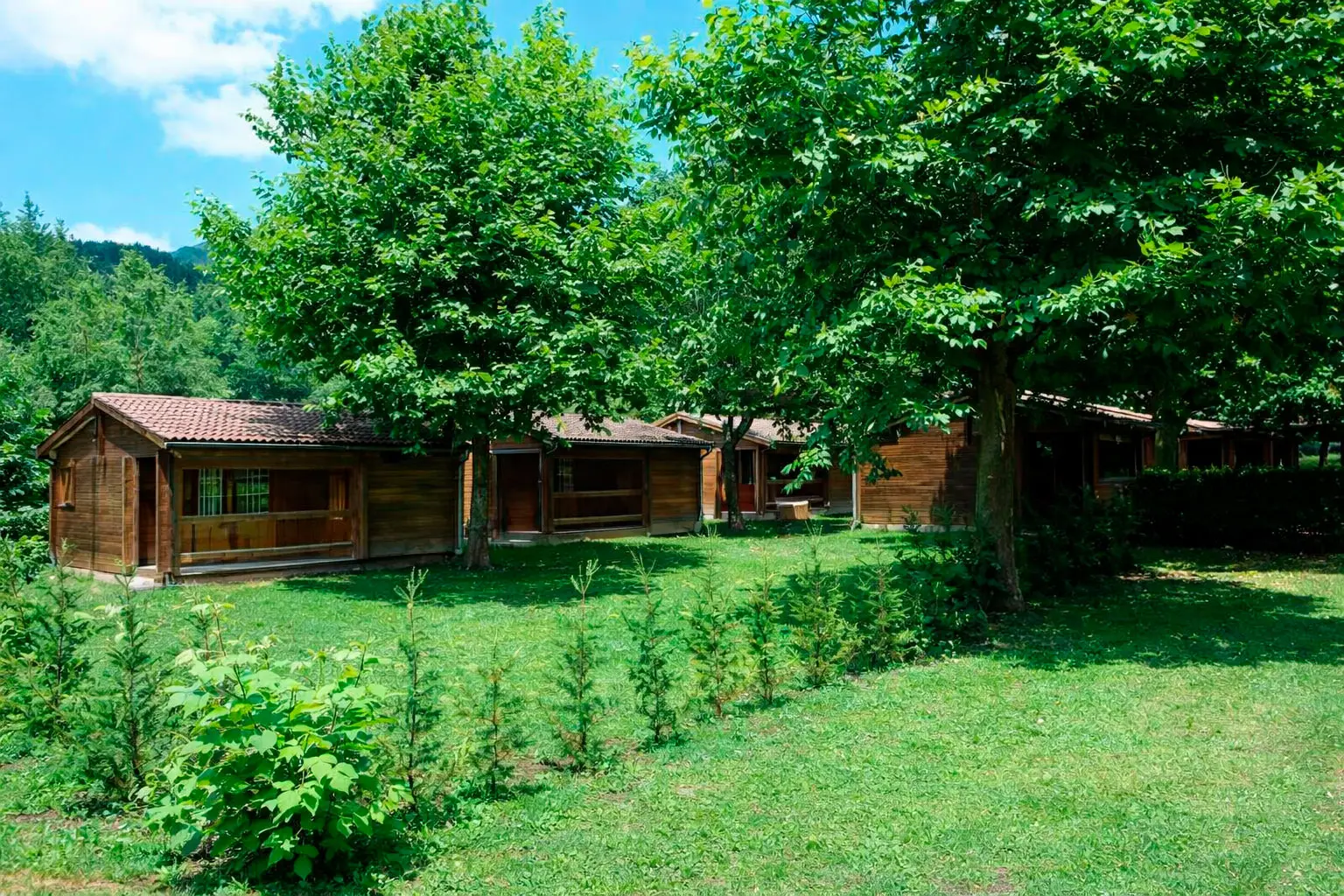 Bungalow Estándar vista exterior