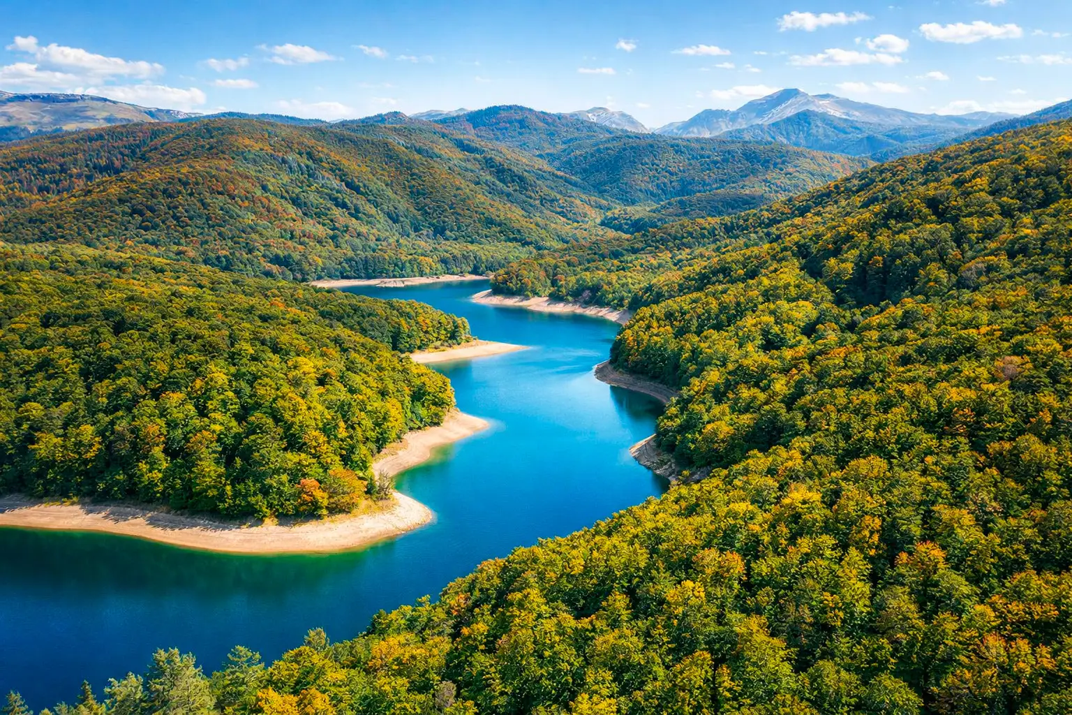 camping-baztan-parques-selva-irati