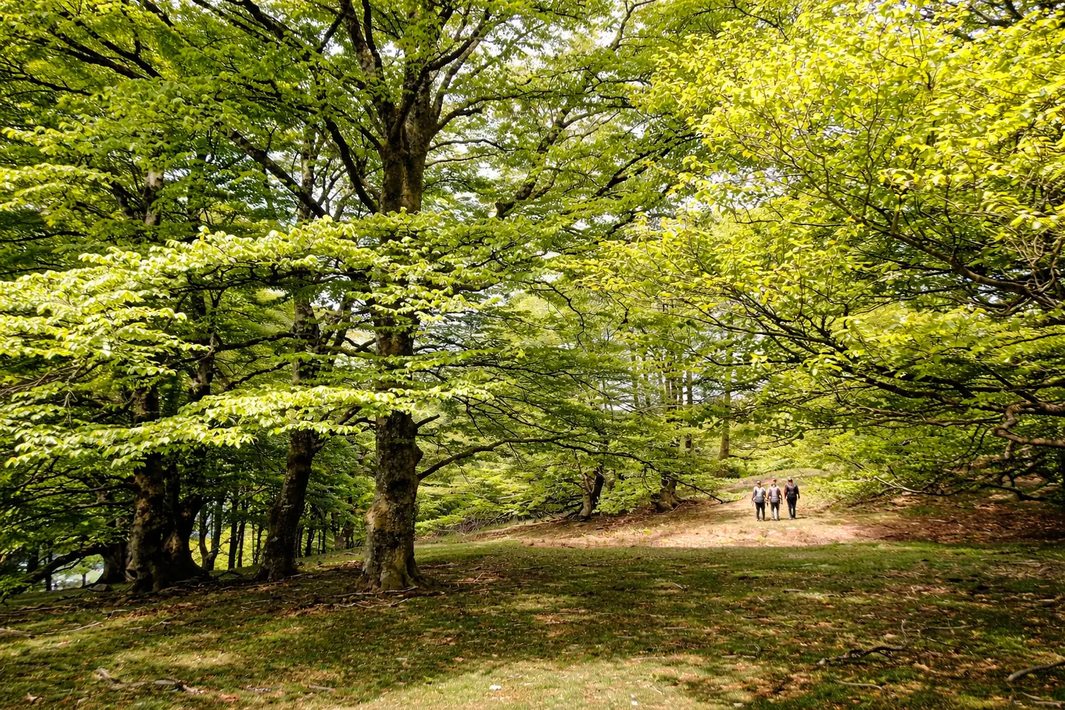 camping-baztan-xorroxin-gallery-2