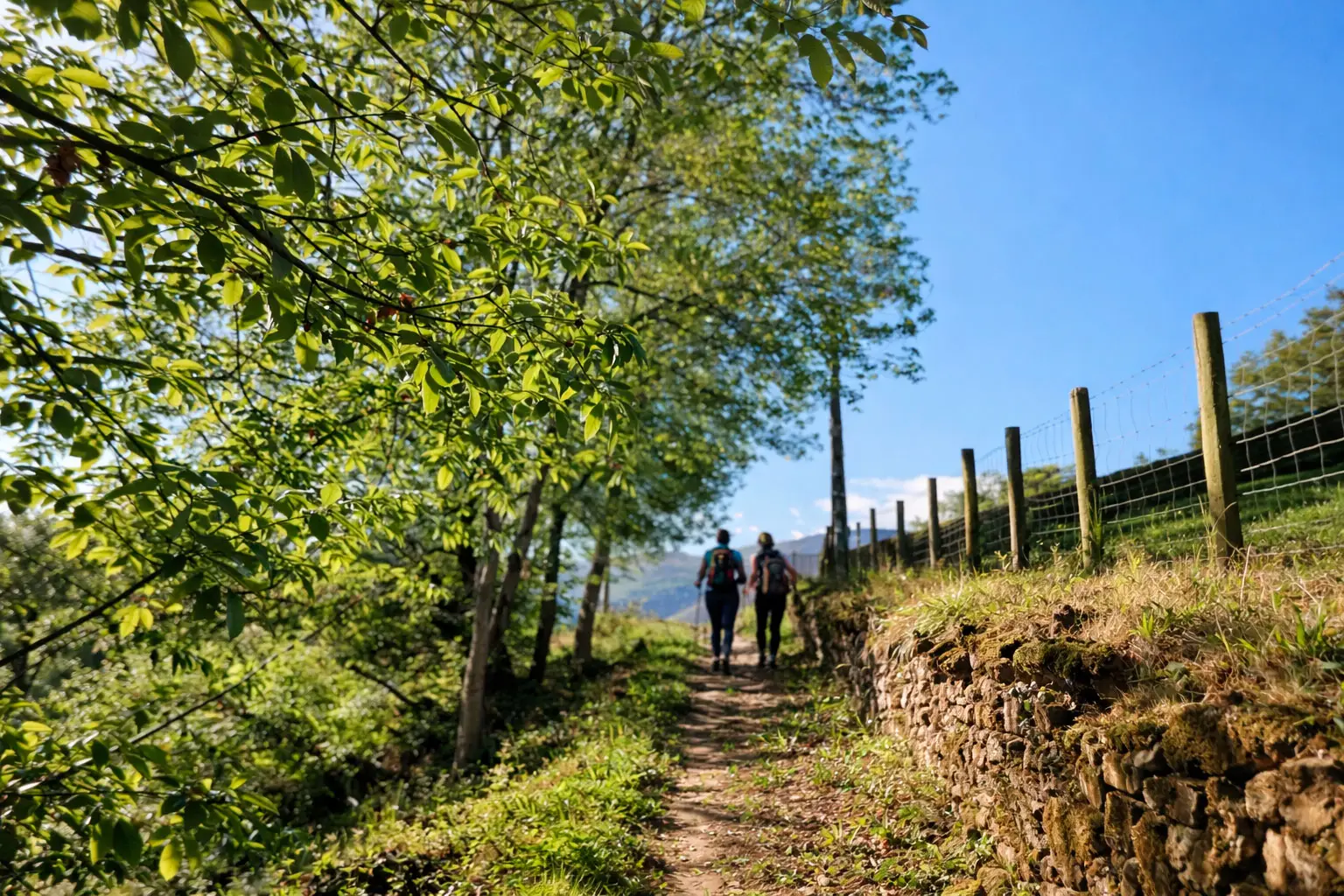 camping-baztan-xorroxin-gallery-3